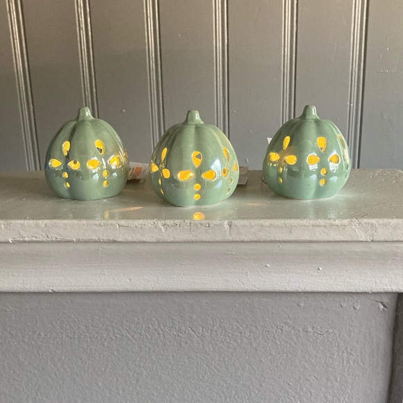 NWT Set of 3 LED Light Up Ceramic Pearl Glazed Petal Cutout Pumpkin Decorations - Picture 15 of 17